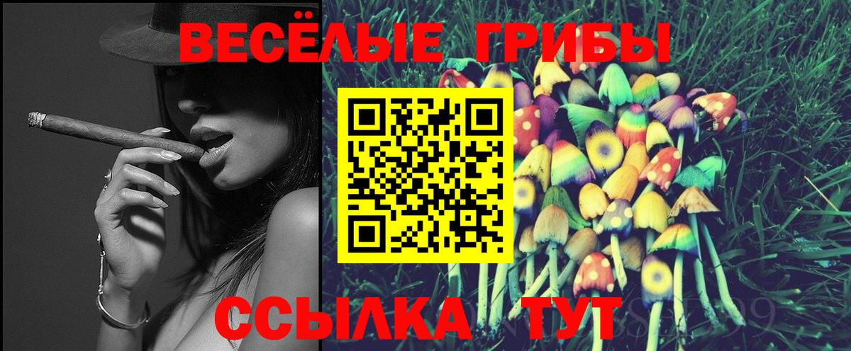 Галлюциногенные грибы MAGIC MUSHROOMS Конаково