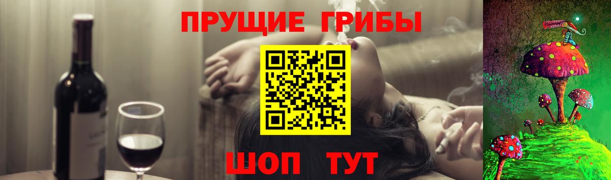 Конаково  Псилоцибиновые грибы MAGIC MUSHROOMS  Вход с VPN 
